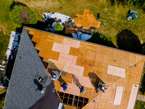 Quick and Trustworthy Emergency Roof Repair Services in Terre Haute, IN