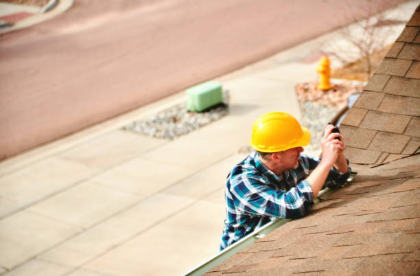 Best Roof Gutter Cleaning  in Terre Haute, IN