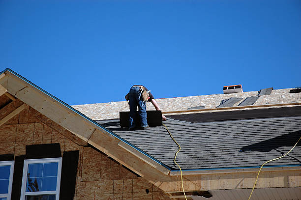Best Metal Roofing Contractor  in Terre Haute, IN