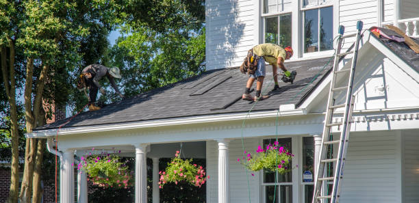Best Metal Roofing Contractor  in Terre Haute, IN
